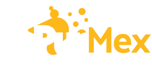 Pur vahuga soojustamine- Purmex